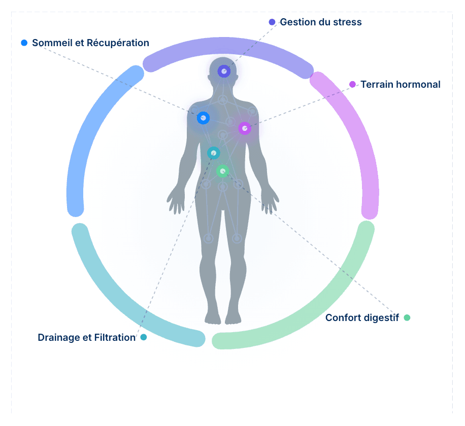 Les 5 axes Bioframe